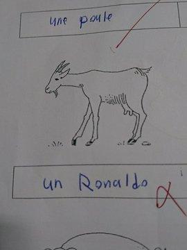 ورقة الإجابة التي كتب فيها الطالب اسم رونالدو تحت صورة الماعز