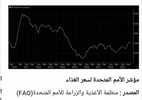 الصورة3