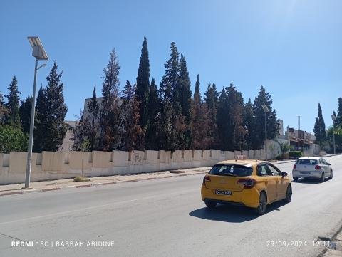 شارع البوعزيزي بتونس
