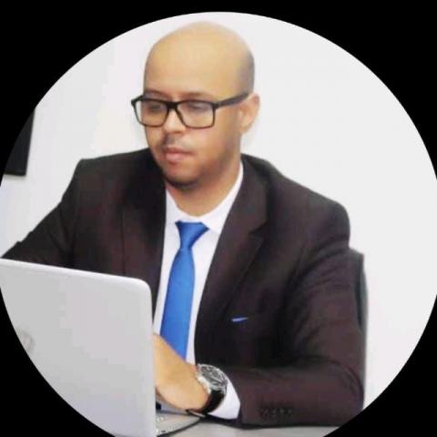 المهندس محمد محفوظ دداه