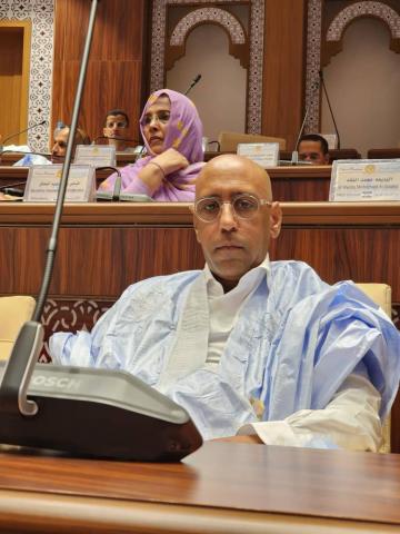 نائب شنقيط البُ ولد عبد الرحمن