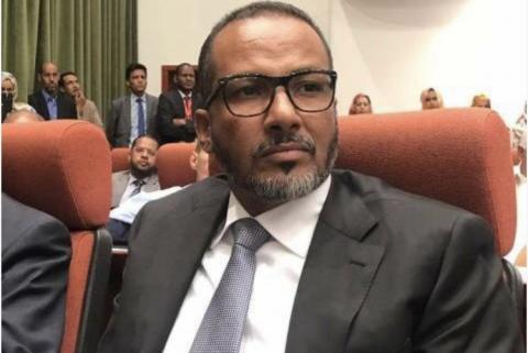 رئيس اتحاد أرباب العمل : زين العابدين ولد الشيخ احمد