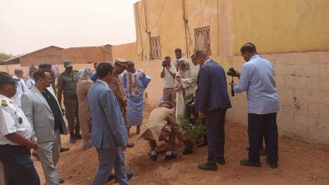 ازويرات : انطلاق فعاليات تخليد اليوم الوطني للشجرة