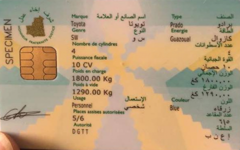مديرية النقل توفد بعثات لأربع ولايات لتجديد واستبدال البطاقات الرمادية