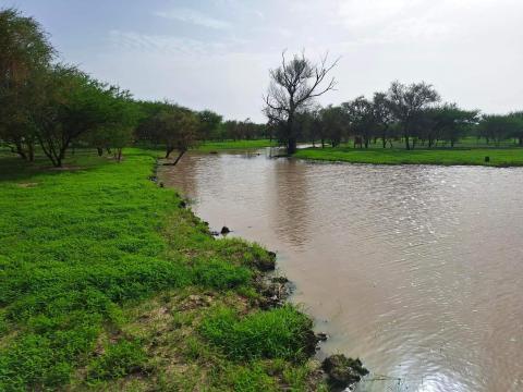 الأرصاد تتوقع أمطارا في الجنوب وارتفاع درجة الحرارة في الوسط