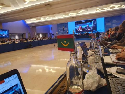 موريتانيا تحصل على 50 طناً من التونة الحمراء كحصة أولية