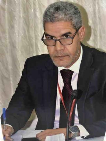 سيد أحمد ابوه/ خبير في استراتيجيات التنمية