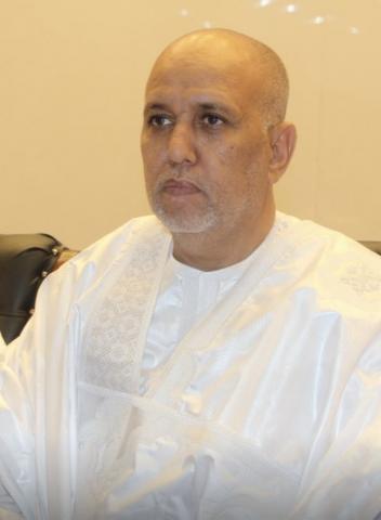المكلف بمهمة برئاسة الجمهورية أحمدسالم محمد فاضل