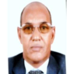 د محمد يحيى ولد باباه