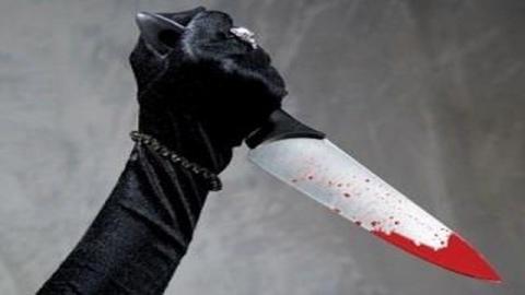 صورة تخدم الخبر