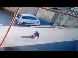 صورة تخدم النص