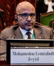 لبرفيسور محمدو لمرابط اجيد أستاذ التعليم العالي